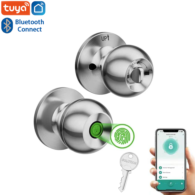 Zinc Furniture Hardware - Bluetooth Tuya APP Control Smart Door