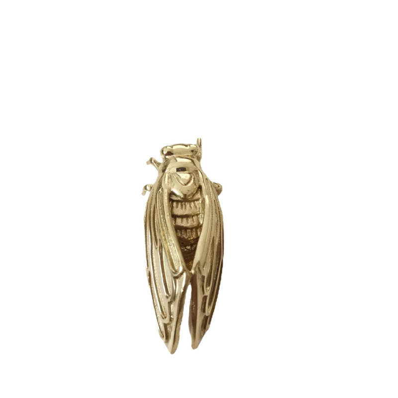 Brass Cicada Hardware Handle B - Unique Furniture Hardware review and price